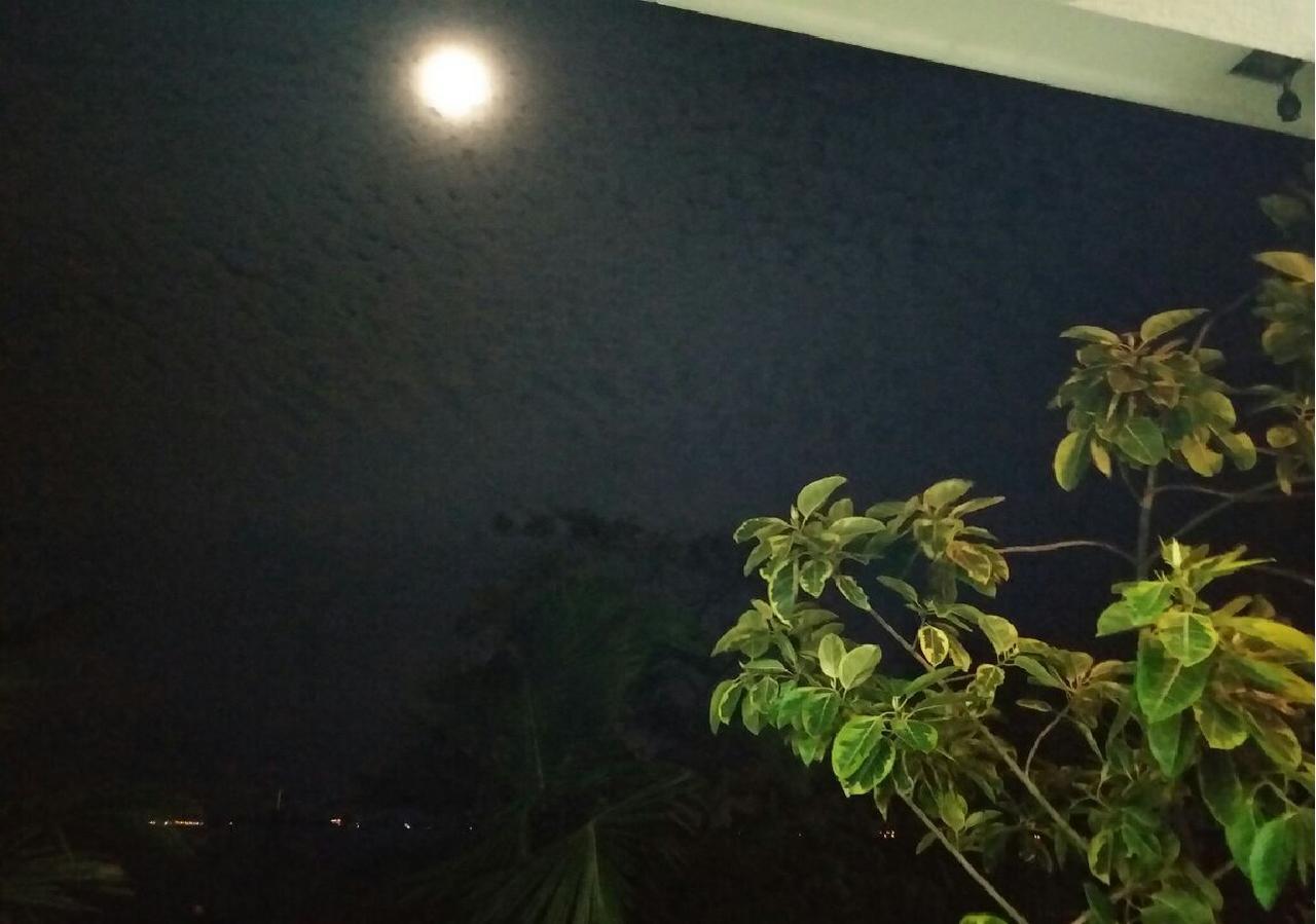 Negombo Holiday Home Dış mekan fotoğraf